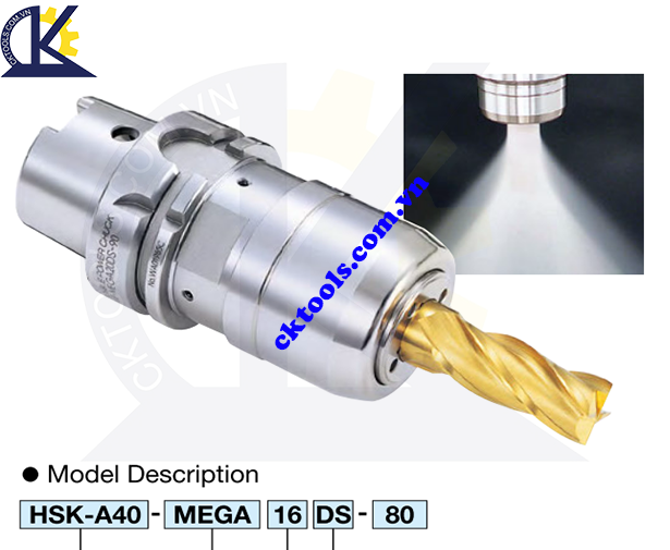 Đầu kẹp dao  BIG DAISHOWA  HSK-A125-MEGA42DS-120  , MEGA  DOUBLE POWER CHUCK  HSK-A125-MEGA42DS-120
